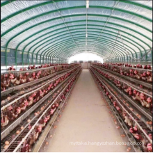 Single Span Poultry Greenhouse for Chicken Farm